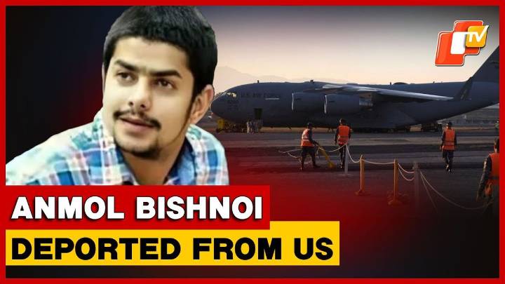 US Deports 200 Indians: Gangster Anmol Bishnoi, Two Punjab Fugitives To Land In India