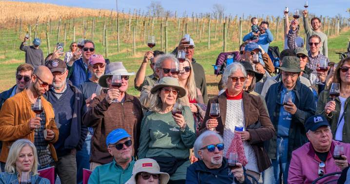 Libertytown vineyard toasts Maryland's first kosher wine