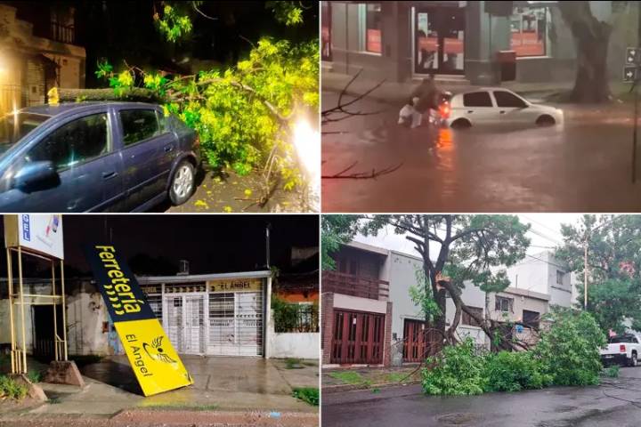 Temporal en Paraná: se registraron caída de árboles, carteles y anegamientos