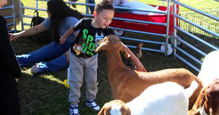 Gallery: Thrive Fest 2025