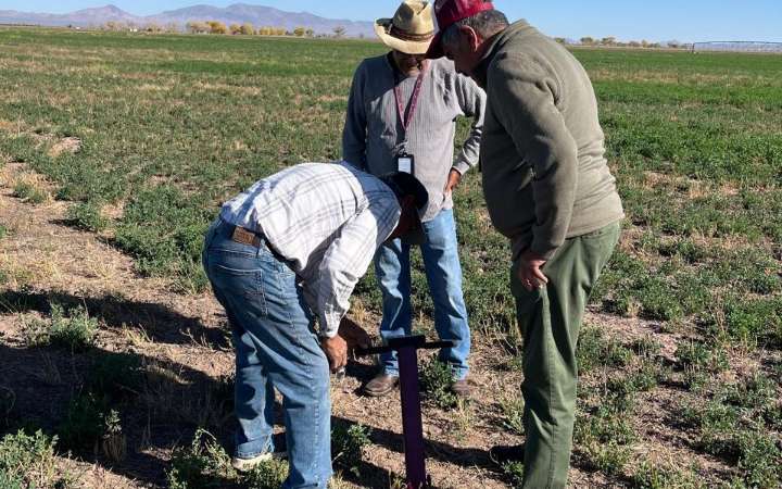 Implementa Desarrollo Rural del Municipio innovador sistema de nutrición agrícola