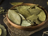 Para qué sirve colgar una hoja de laurel en la puerta