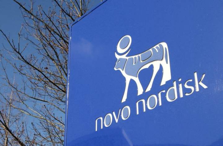 Novo Nordisk shareholders approve new board chair