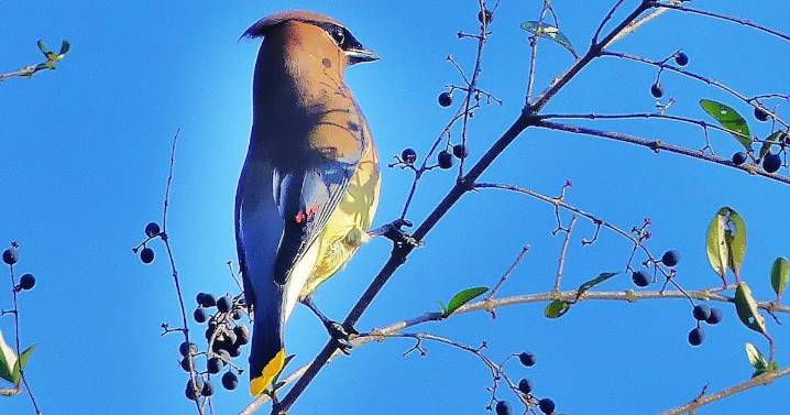 November has its own offerings of joy and beauty