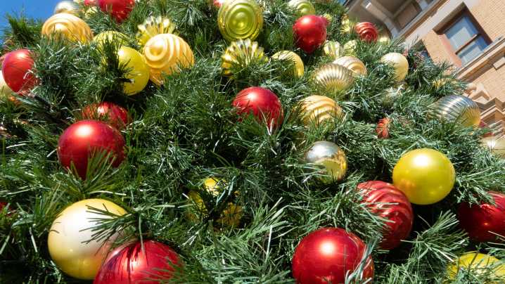 Too early? Vote on when Christmas decorations should go up