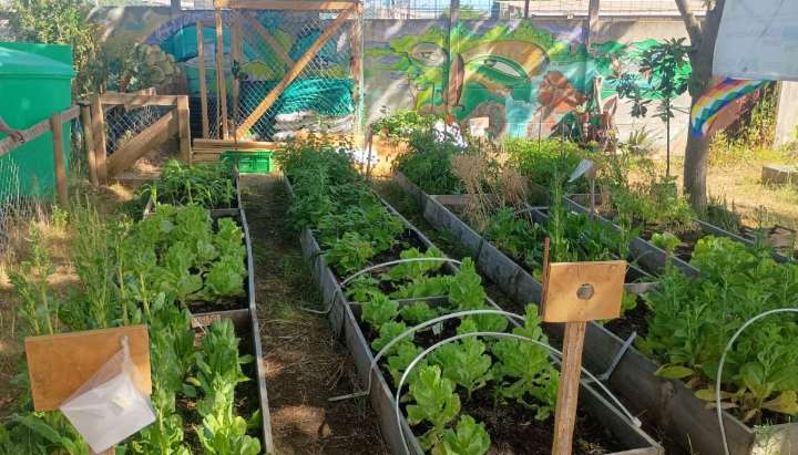 Implementan proyecto de Red de Huertos Urbanos en siete comunas de la región de Valparaíso
