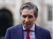 ‘Comments you hear from a bloke in the pub who gets his info on Facebook’ – Opposition TDs hit out at government immigration rhetoric