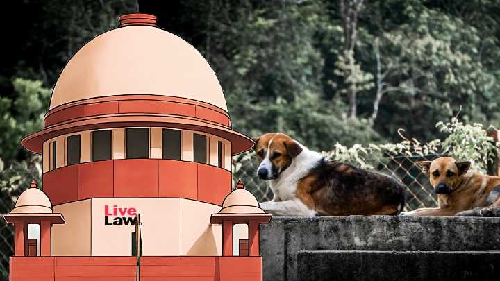 Supreme Court Allows Dog Bite Victims To Intervene In Suo Motu Case Without Monetary Deposit; Adds Animal Welfare Board As Respondent