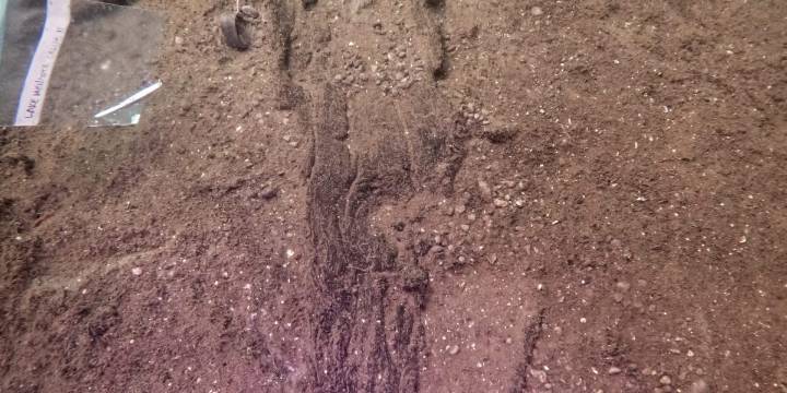 Wisconsin archaeologists unearth a prehistoric lake ‘parking lot’ by mapping the location of 16 ancient canoes