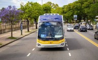 Trambus de la Ciudad: abren una convocatoria para que vecinos porteños prueben el servicio
