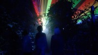 Zoo Knoxville to light up this winter with 'Smoky Night Lights'