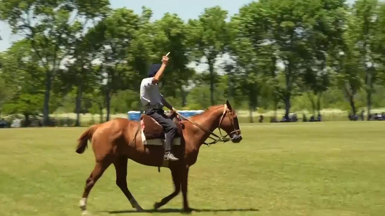 Horses and heritage take center stage on Argentina’s Tradition Day