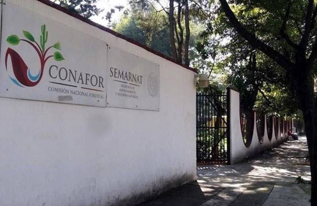 La CONAFOR presenta el PIC 2025-2030, fruto de un proceso participativo y herramienta clave para fortalecer la política forestal nacional