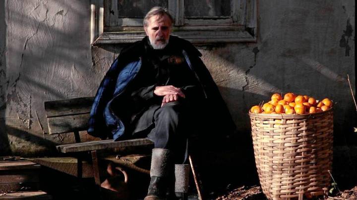 Un estudio da indicios de que la mandarina valenciana puede cambiar los genes y reducir el cáncer