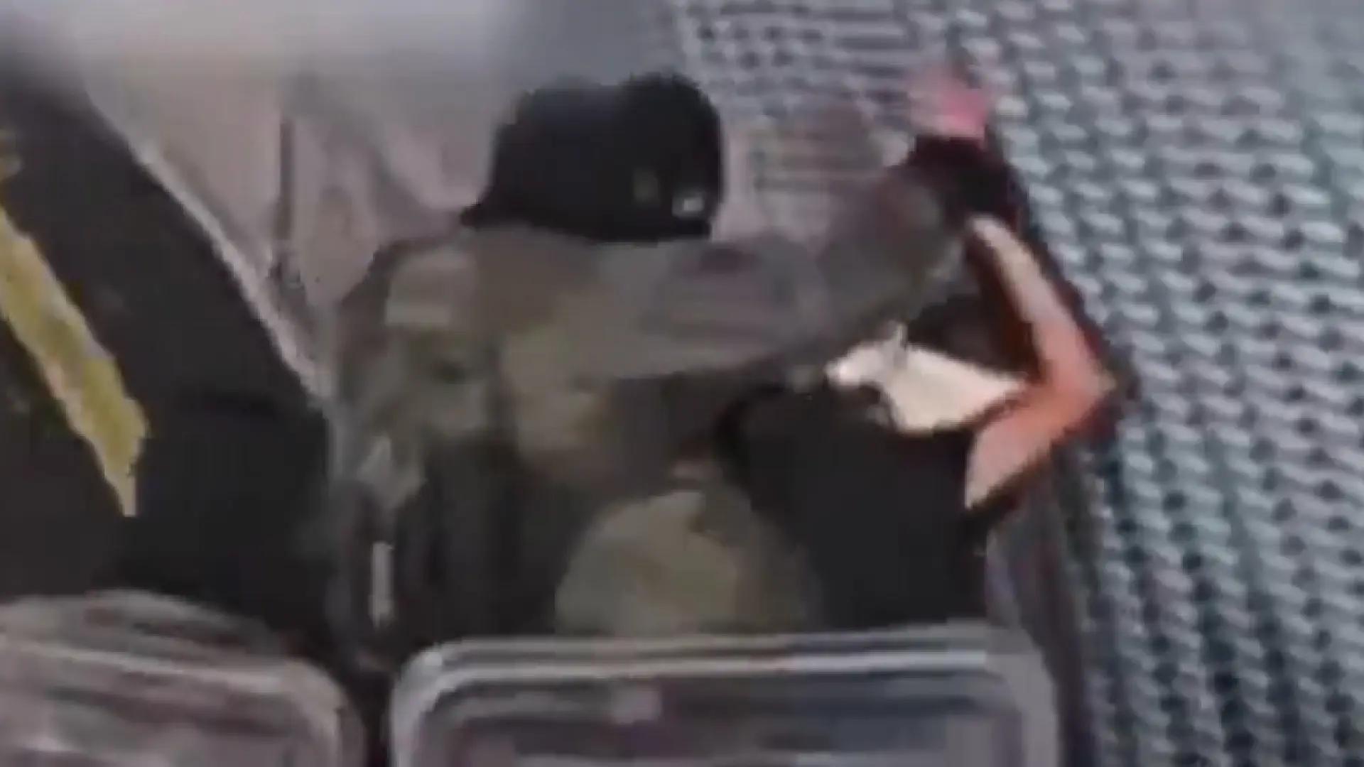Este es el vídeo de la supuesta violación a un preso palestino filtrado por la ex abogada general militar de Israel