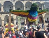 Festival de las Flores, deleite de color y arte en Antigua Guatemala (+Fotos)