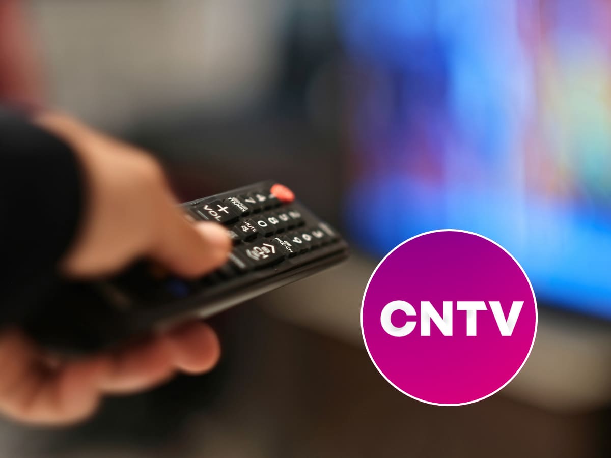 Giro del CNTV: acogen solicitud del Gobierno para transmitir campaña contra la violencia de género