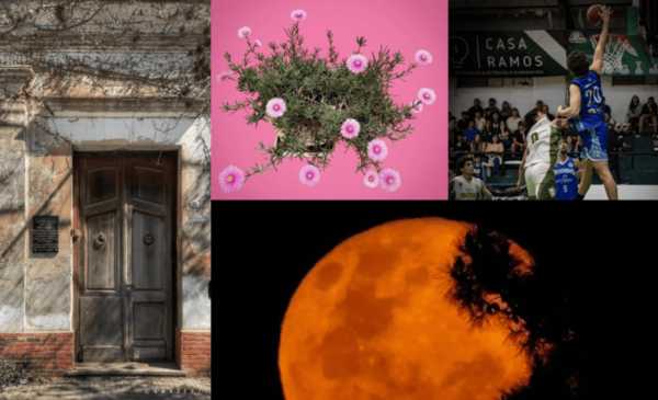 Las fotos de la semana en el Instagram de La Nueva.