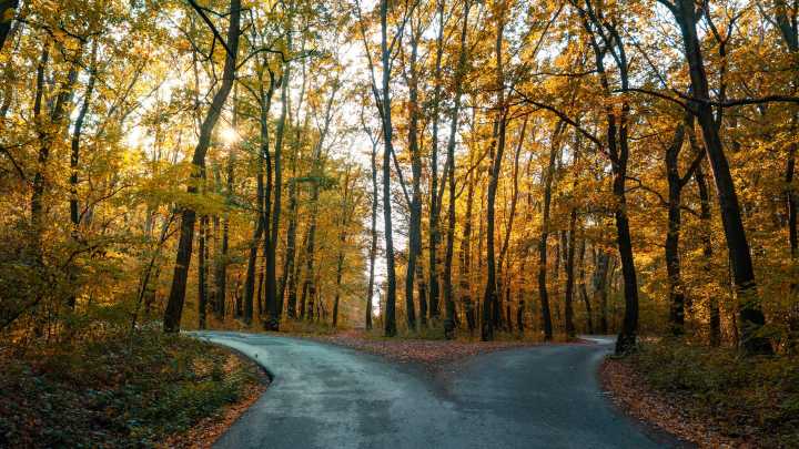 How do you know when you're on the right path?