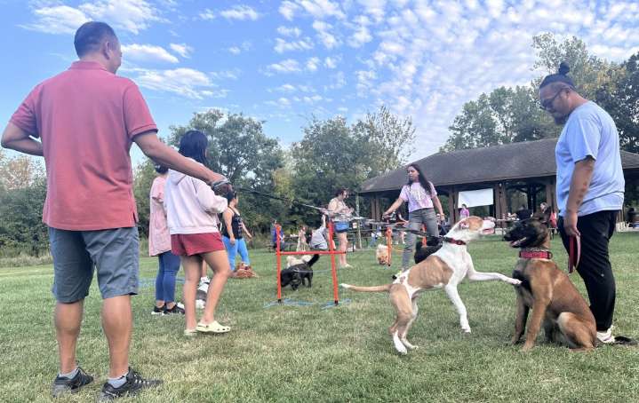 Area residents developing pet owners app