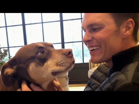 Tom Brady Says He Cloned His Dog That Died in 2023