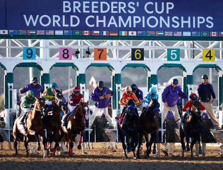 Breeders’ Cup consensus picks for Saturday, Nov. 1, 2025, at Del Mar