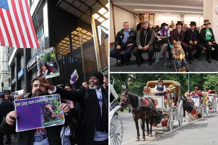 'Ryder's Law" shot down by NYC Council panel