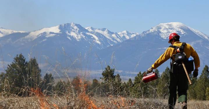 Forest Service wildfire prevention work saw steep decline in 2025, firefighters' group says