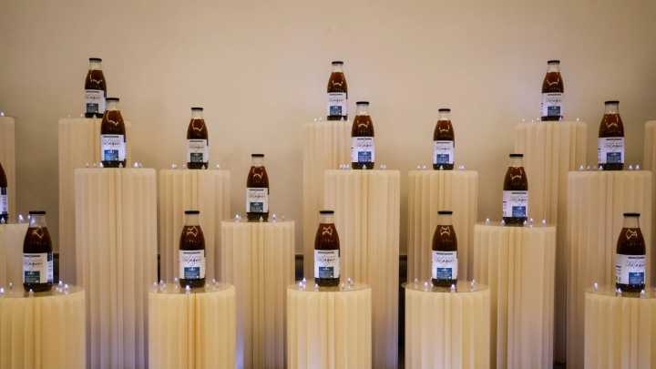 Crean en Canarias el caldo de algas que busca ser la alternativa vegana al colágeno