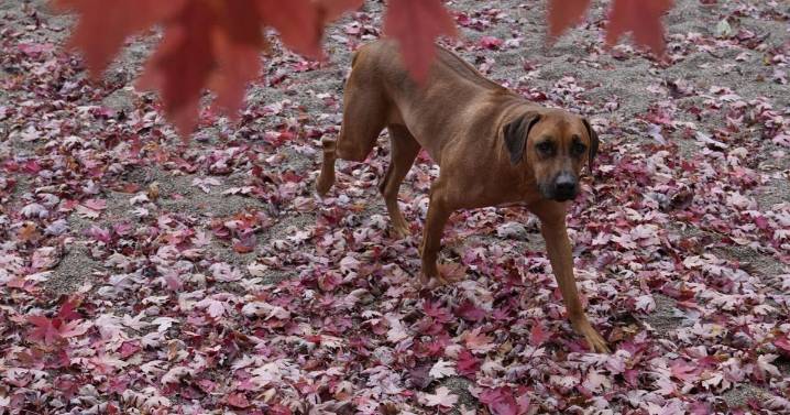 One thing to be supremely grateful for today