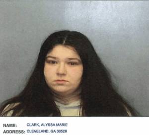 Cleveland Woman Arrested On Cruelty To Children Charges