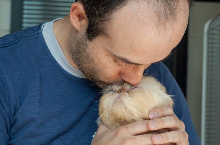 The Surprising Ways Pets Influence Home Life In New York