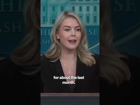 Karoline Leavitt Calls Out Reporter Over Ukraine Peace Plan: 'Have You Read the Full Plan?' #shorts