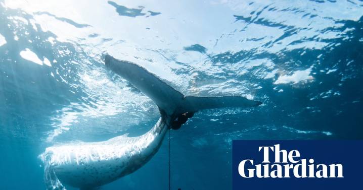 The 2025 Oceania photo contest winners