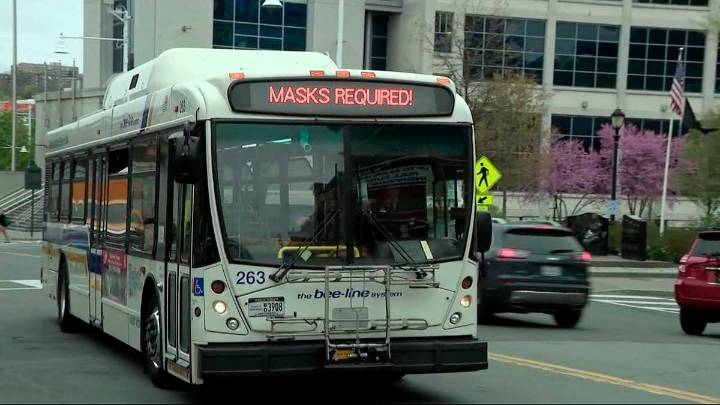 Bee-line ofrecerá servicio en días festivos por primera vez