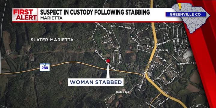 Suspect in custody following stabbing in Greenville County, officials say