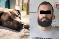 Detienen a hombre que apuñaló a un perro durante un paseo en Verona Residencial