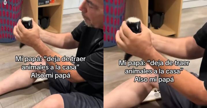 Joven muestra cómo su padre, que no quería animales en casa, terminó adoptando a un zorrillo bebé