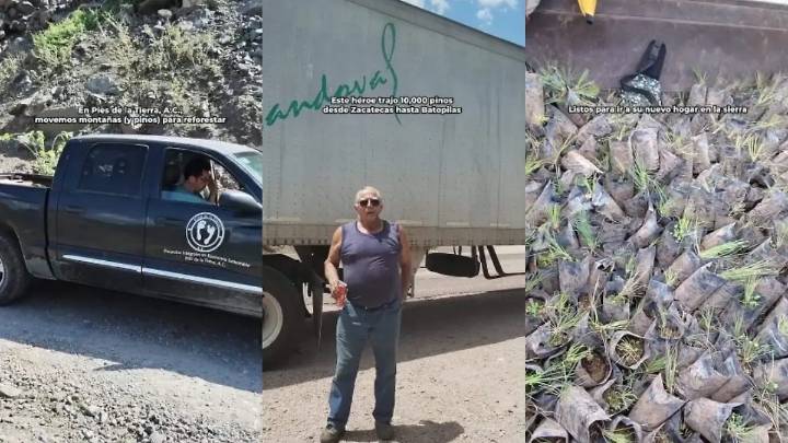 ¡De Zacatecas hasta Batopilas! Así recibieron 10 mil pinitos para reforestar la Sierra Tarahumara