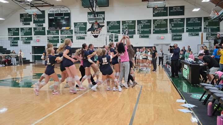 Grass Lake sweeps Napoleon for district title