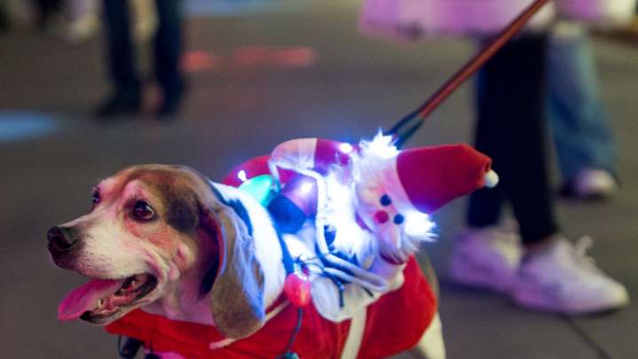Scherr Legate Lights Parade to kick off 2025 holiday season in El Paso