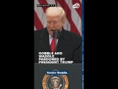 Gobble and Waddle pardoned by President Trump during Thanksgiving ceremony