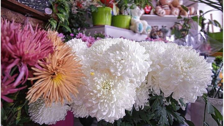 Día de los Fieles Difuntos: las florerías de Paraná se preparan para un mayor movimiento