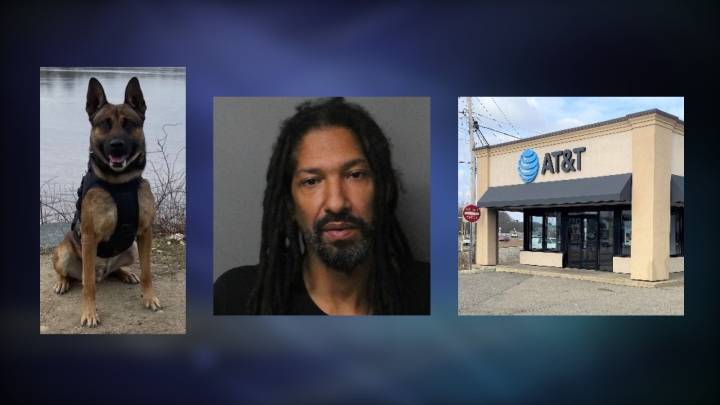 Brockton PD K-9 tracks cell phone store robbery suspect in possible inside job