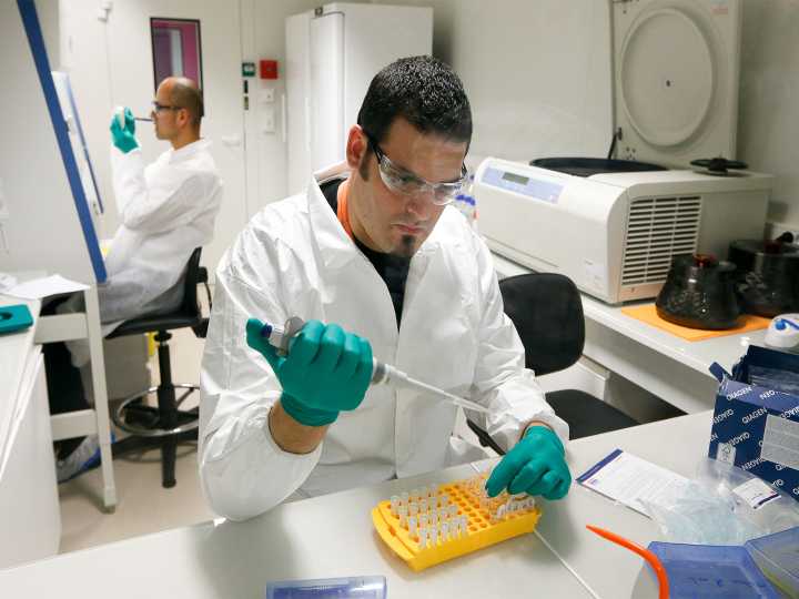 Scientists turn body fat into bone to heal spinal fractures