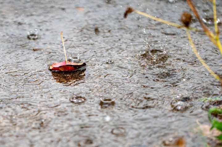 Rain likely Friday in the Portland metro, with more throughout the weekend