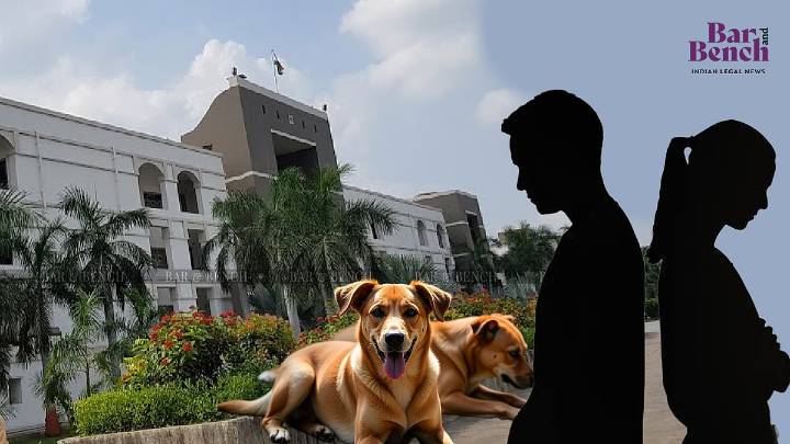 Man moves Gujarat High Court for divorce citing wife's obsession with stray dogs