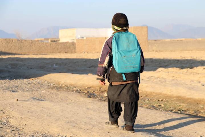 Los 44 países considerados “menos desarrollados” por la ONU