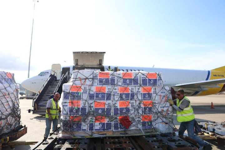 Llegan al país 250 mil dosis de vacunas pentavalentes