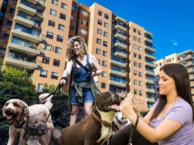 Ley de Propiedad Horizontal y perros: ¿son obligatorios el bozal y la correa dentro del conjunto?